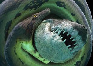 梦见上楼很难 梦见上楼很难