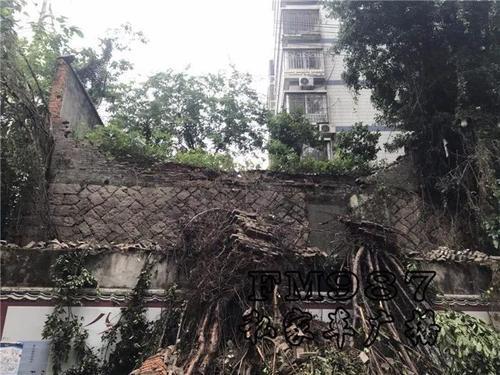 梦见院墙倒塌 梦见院墙倒塌