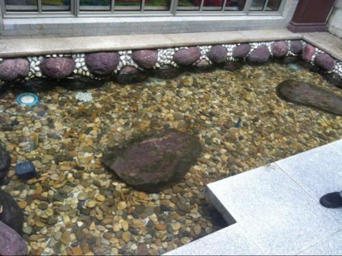 梦见鱼池洗头发 梦见鱼池洗头发