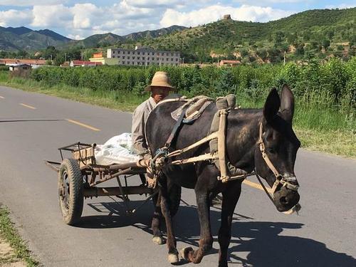 梦见拉大板车 梦见拉大板车