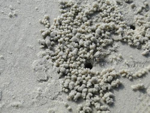 梦见地上有屎 梦见地上有屎