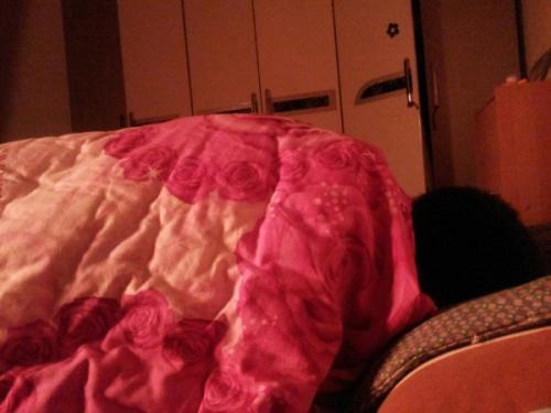 梦见床不见了 梦见床不见了