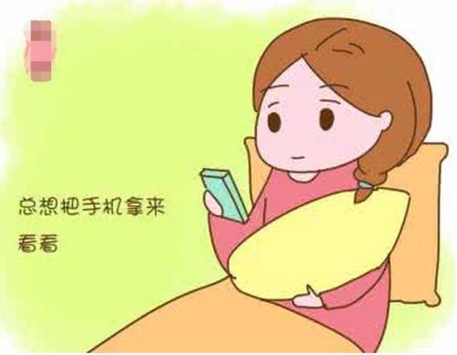 梦见不会玩手机