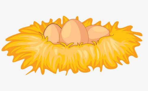 梦见一窝鸡蛋 梦见一窝鸡蛋