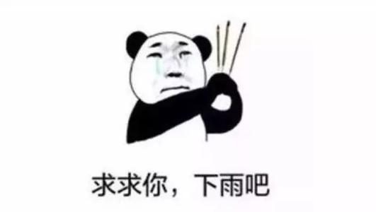 梦见求雨
