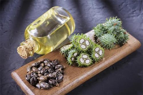 梦见蓖麻油