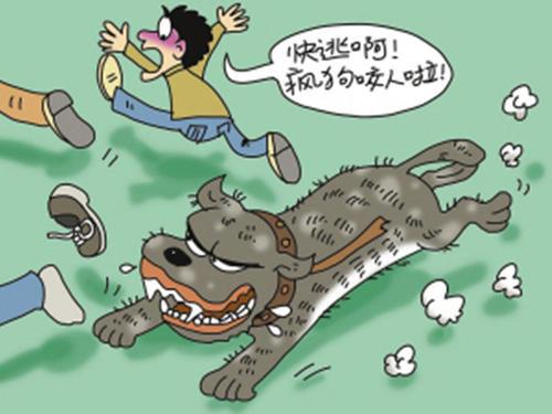 梦见疯狗要咬我