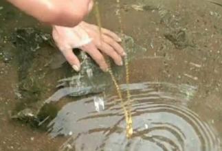 梦见跳到水里捞东西