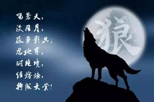 梦见手机掉了好心人还给我