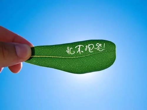 梦见别人给自己毒药 梦见别人给自己毒药