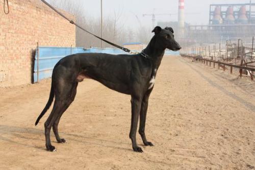 梦见有人喊自己的名字 梦见有人喊自己的名字