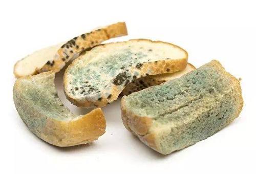 梦见面包发霉 梦见面包发霉