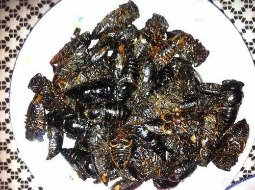 梦见吃知了 梦见吃知了