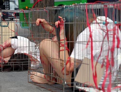 梦见关在笼子里 梦见关在笼子里