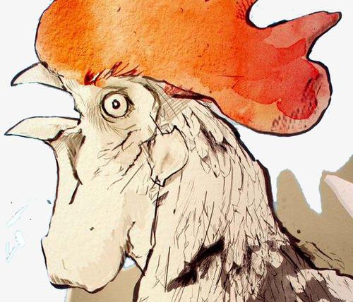 梦见人头变成鸡头 梦见人头变成鸡头