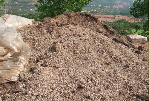 梦见鸡粪 梦见鸡粪