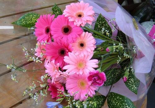 梦见送别人花 梦见送别人花