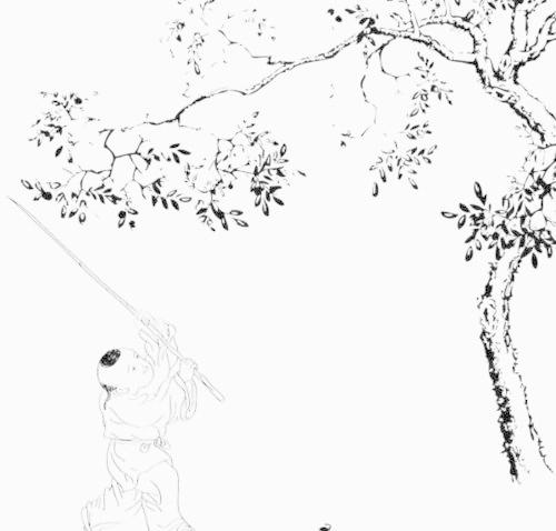 梦见在树下打枣