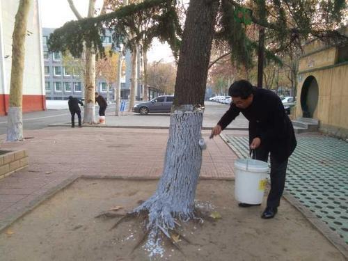 梦见树穿衣 梦见树穿衣