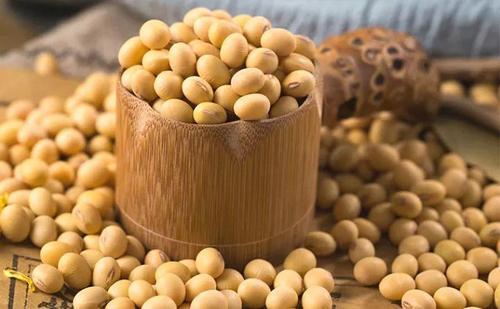 梦见豆子撒了一地