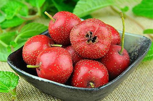 梦见山楂果 梦见山楂果