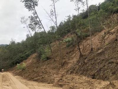 梦见沙土垮塌 梦见沙土垮塌