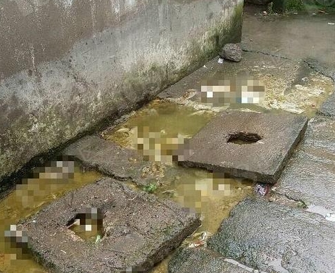 梦见大粪溅了一身 梦见大粪溅了一身