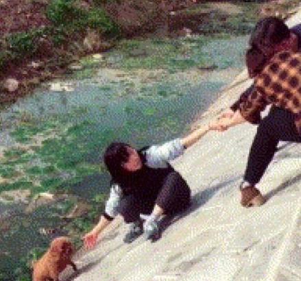 梦见掉河里又爬上来