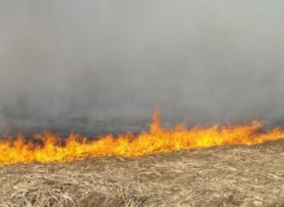 梦见烧地火 梦见烧地火