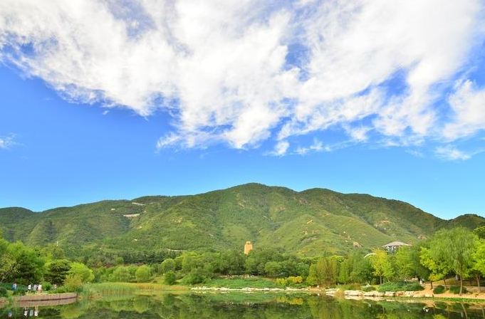 梦见青山绿水