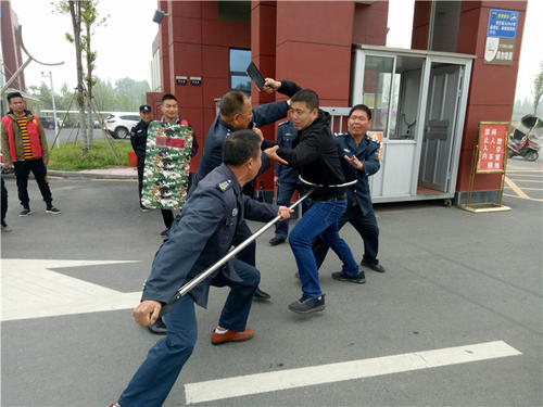 æ¢¦è§ååäººå¨æ