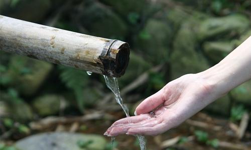 梦见山泉水