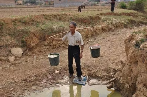 梦见挑水