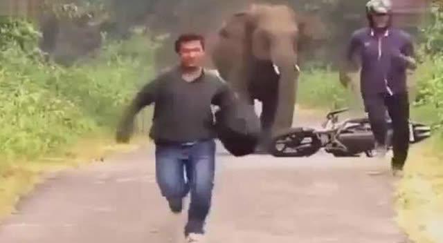 梦见死人追